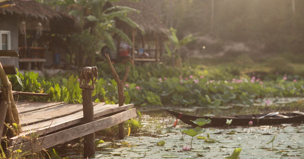 A serene riverside view featuring a rustic pier, lush greenery, and blooming lotus pond.