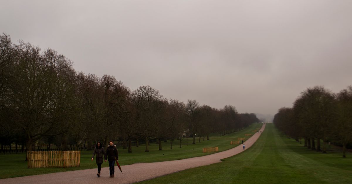 A cloudy day stroll along the Long Walk in Windsor Great Park, UK with bare trees and grass.