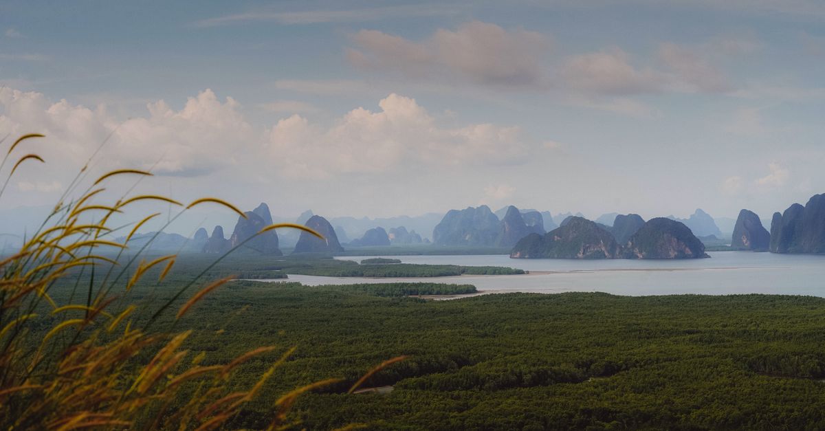 Breathtaking view of Phang-nga Bay with lush forests and striking limestone formations.