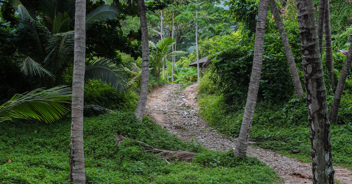 third_section_image_data.image_alt