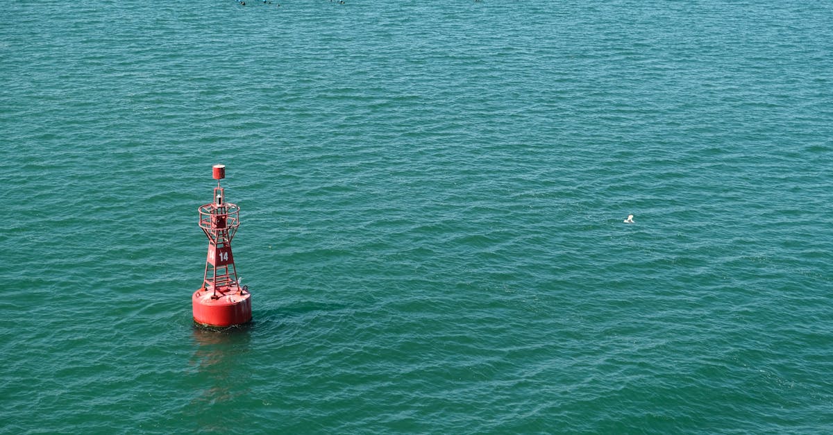 A red navigational buoy floating in calm blue ocean water under clear skies.