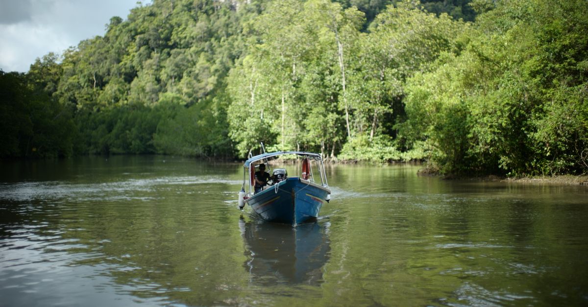 third_section_image_data.image_alt