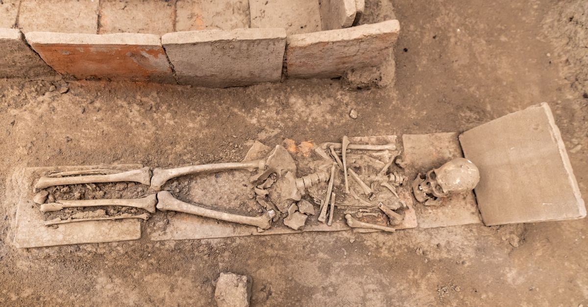 Unearthed ancient Roman skeleton at Viminacium, Serbia archaeological site.