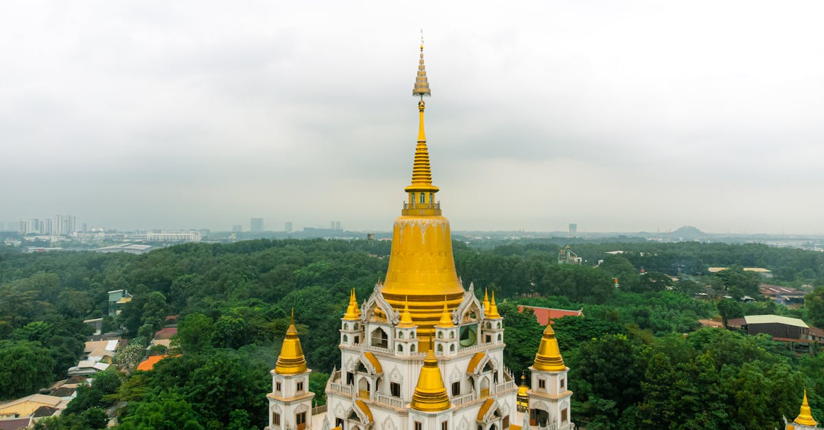 Aerial view of Buu Long Pagoda amidst lush greenery in Ho Chi Minh City, Vietnam.