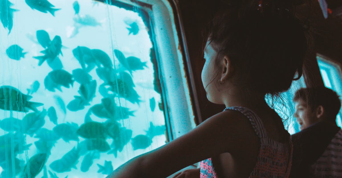 A child gazes through a window at colorful fish swimming in an aquarium.