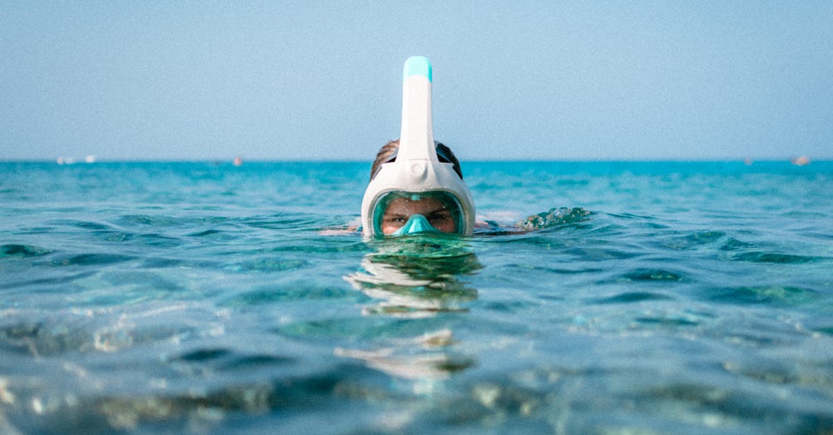 A snorkeler with a mask in the clear blue sea, enjoying a sunny day underwater.
