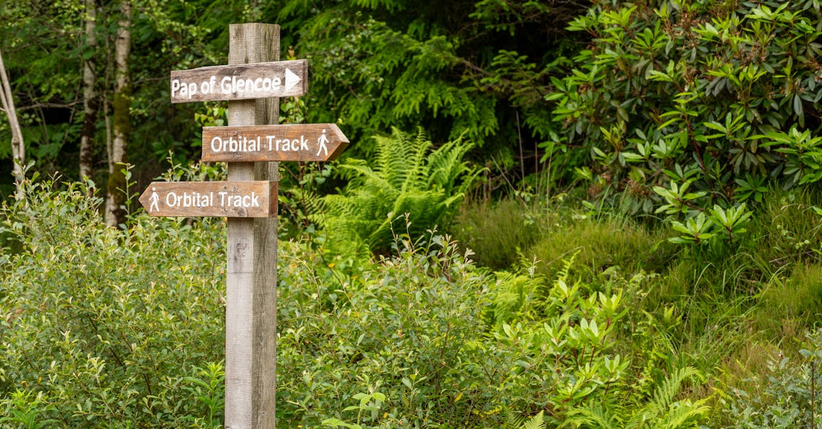 Trail signpost in a lush green forest pointing to Orbital Track and Pap of Glencoe, inviting exploration.