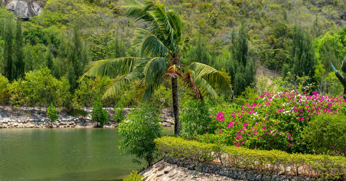 A tranquil landscape featuring a palm tree and vibrant flowers by a serene lake in tropical surroundings.