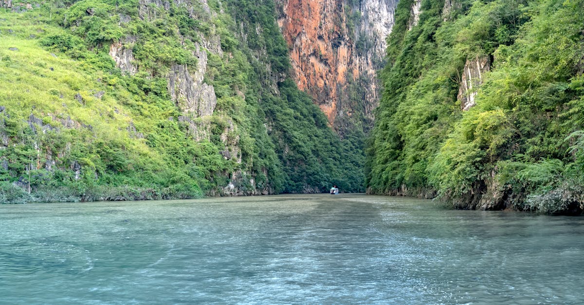 A breathtaking view of a tranquil river flowing through lush canyon cliffs.