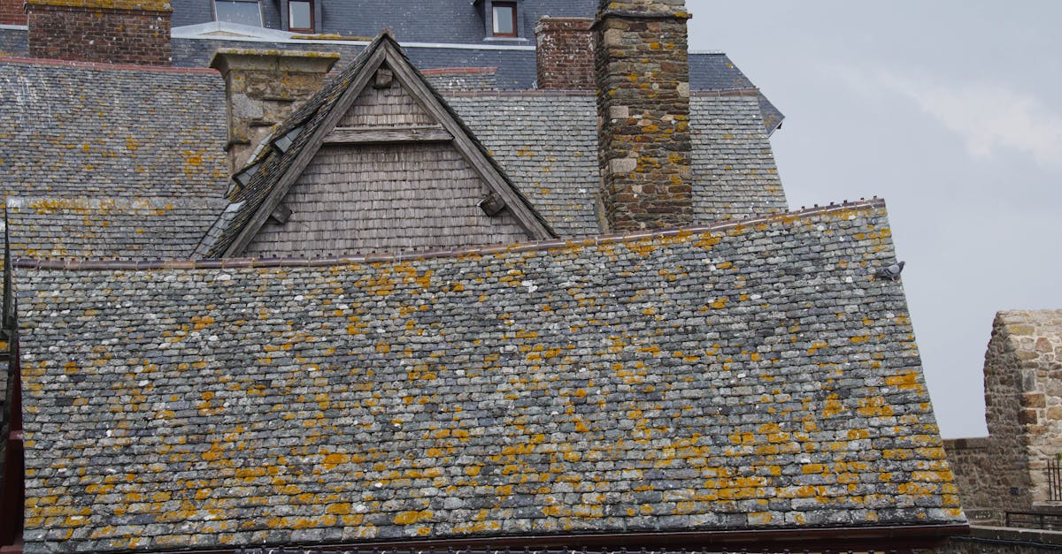 Detailed view of moss-covered historic rooftops at Mont Saint-Michel, France.