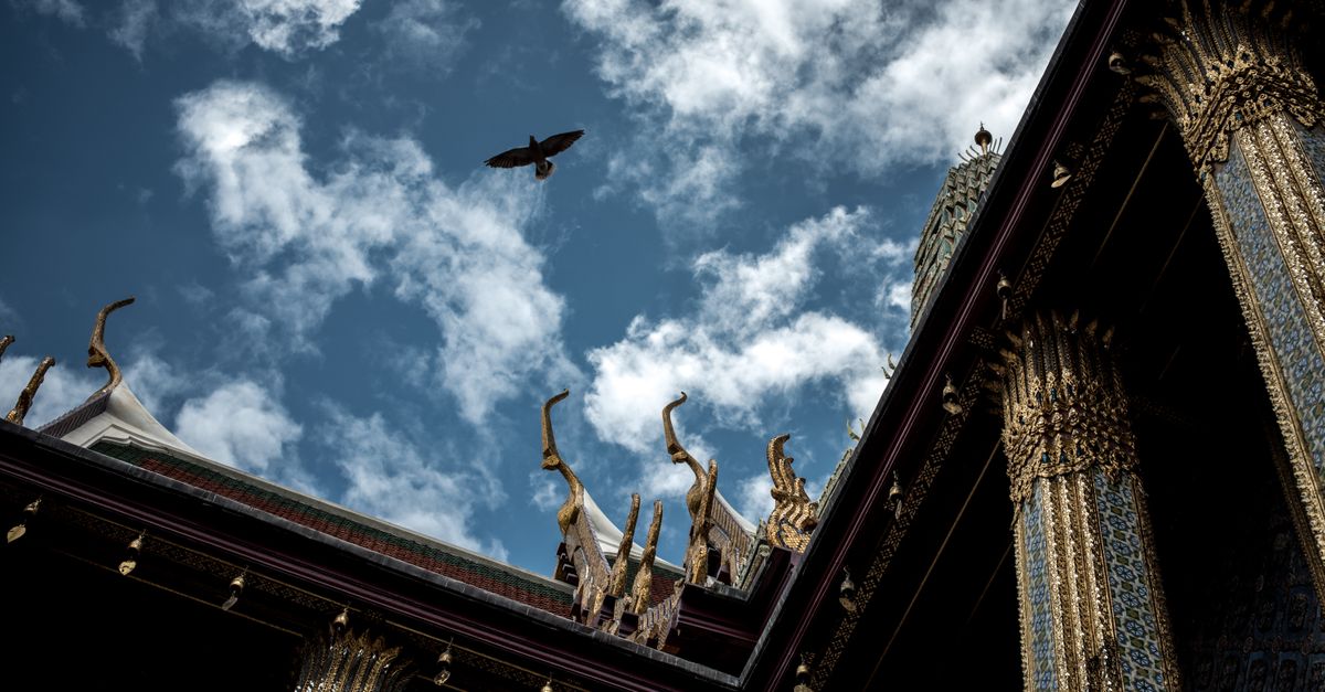 Intricately detailed temple roof with golden embellishments under a vibrant blue sky perched by a soaring bird.