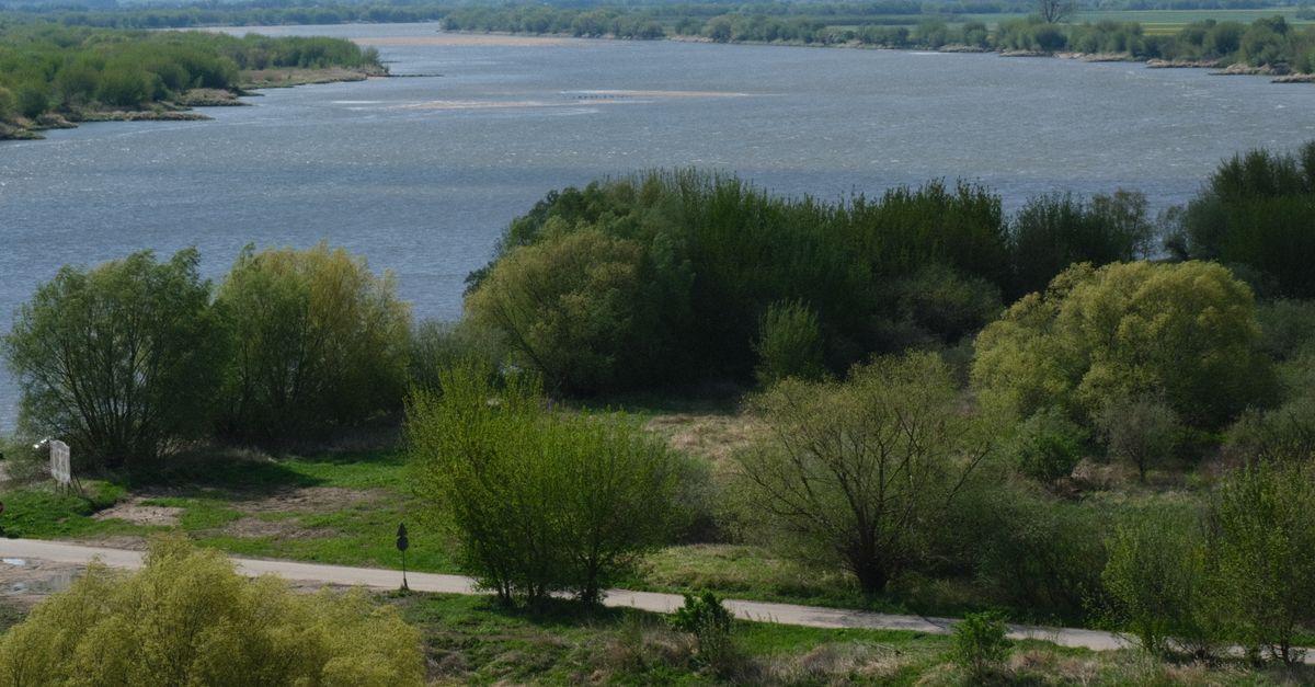 A picturesque view of a serene river surrounded by lush green forests in spring.