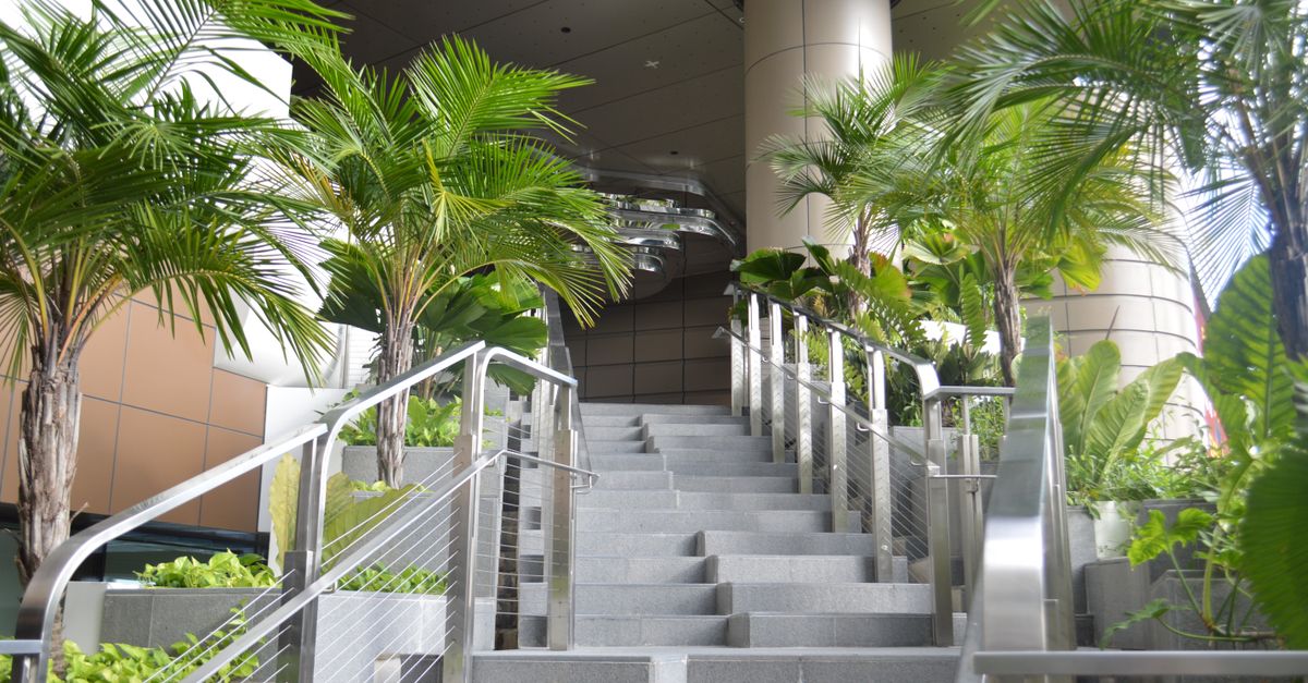 A contemporary staircase lined with lush green plants, providing a refreshing indoor environment.