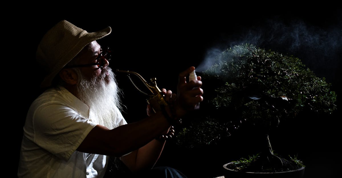 Elderly man sprays a bonsai tree in a dramatic, dark setting with low key lighting.