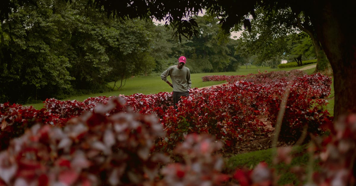 Man standing in a lush garden in Abuja, Nigeria, surrounded by vibrant red flowers and greenery.