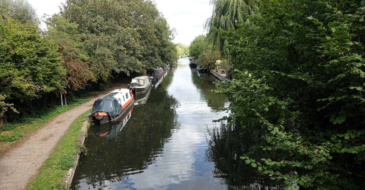 A serene view of narrowboats along an English canal surrounded by lush greenery, perfect for nature enthusiasts.