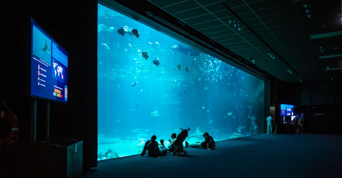 Visitors admire fish in a large aquarium exhibit in Boulogne-sur-Mer, France.