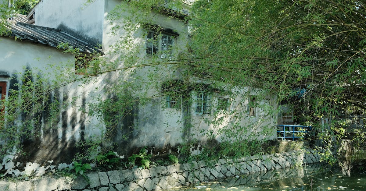 third_section_image_data.image_alt