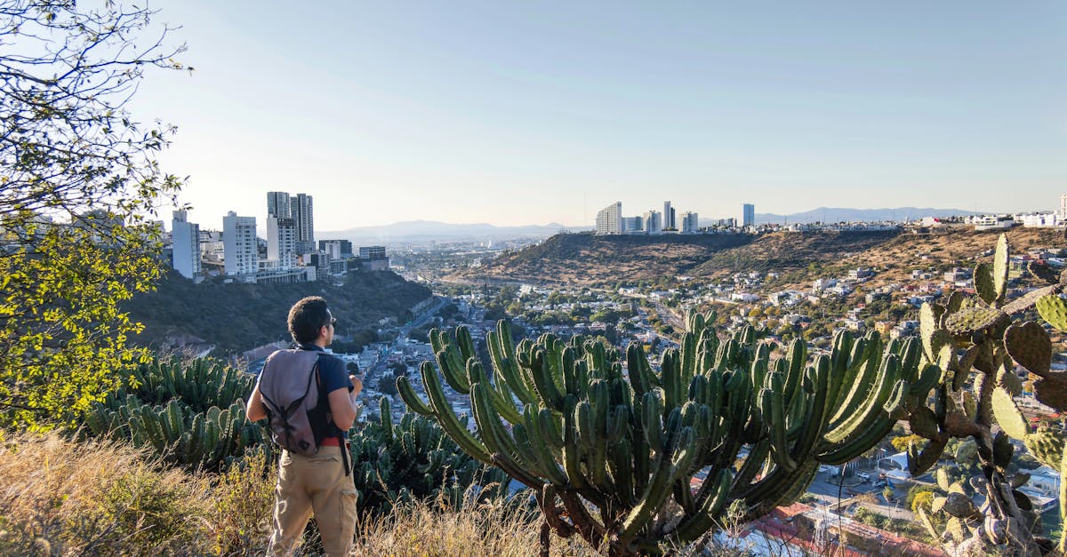 Hiker enjoys the stunning cityscape view from a cactus-filled hillside.