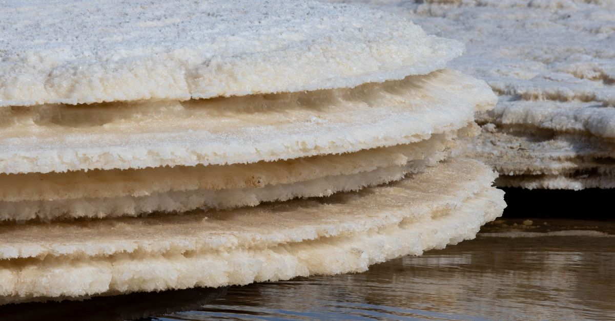 Close-up of salt formations by the Dead Sea showcasing natural layers and textures.