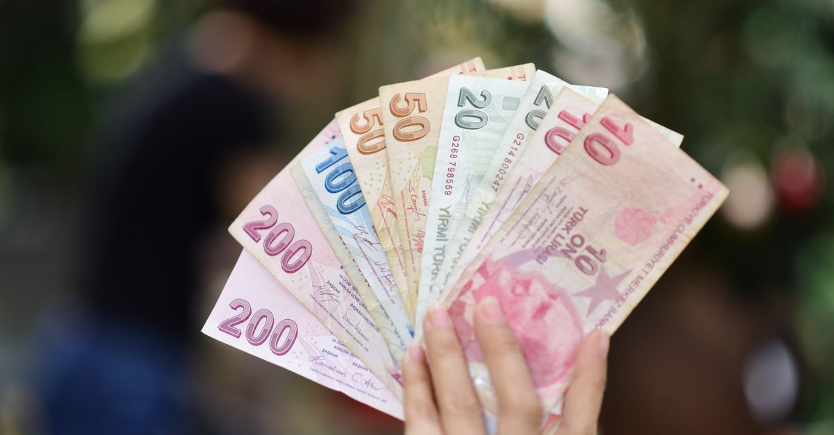 A hand holding various Turkish Lira banknotes with a blurred outdoor background.