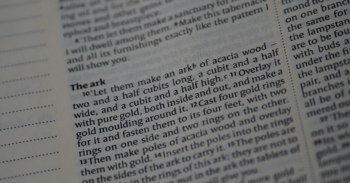 Detailed close-up of an open Bible focusing on a passage about the Ark.