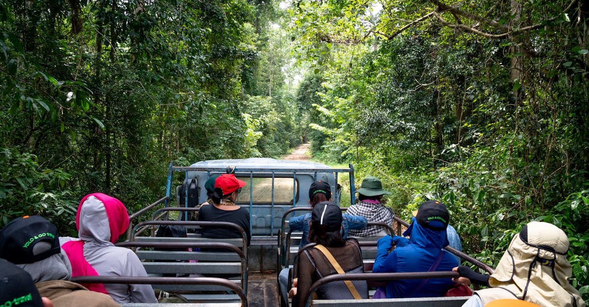Anonymous travelers in headwear sitting on seats of truck driving through tropical forest