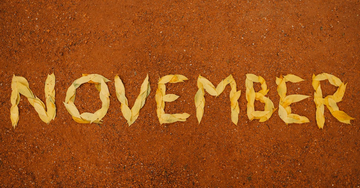 Yellow leaves spelling 'November' on red soil signify autumn's arrival.