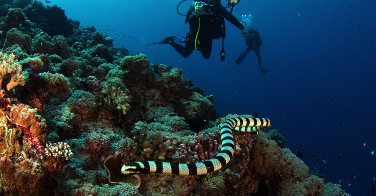 third_section_image_data.image_alt