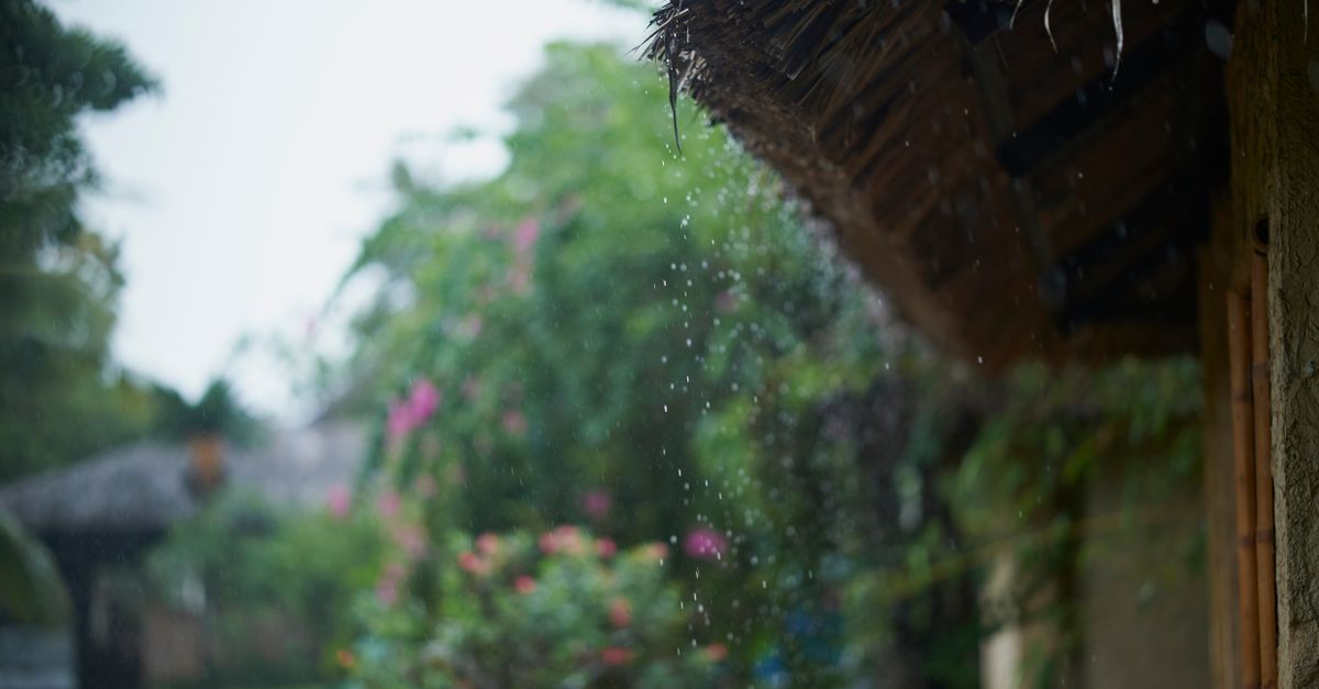 third_section_image_data.image_alt